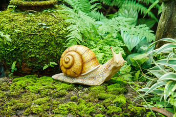 Pots in the garden with moss.