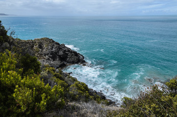 Cliffside Coastline wtih bushes around