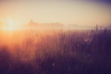 Gartenposter Vintage photo of morning foggy meadow in summer. Rural landscape © milosz_g