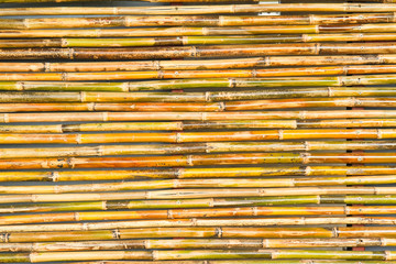 bamboo texture .