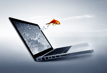 Goldfish jump out of the monitor at ocean