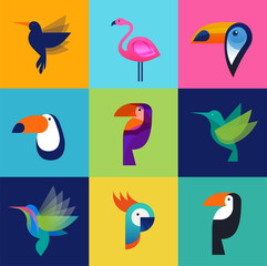 Fototapeta premium Tropical birds - set of vector icons