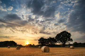 Rural landscape image of Summer sunset over field of hay bales
