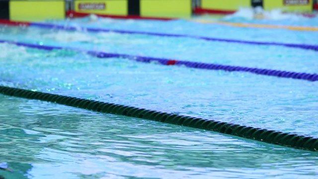 Sportsmen swim in breaststroke by track at swimming pool