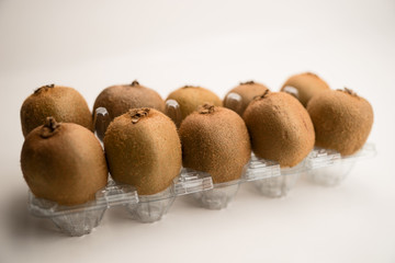 Kiwi, Actinidia deliciosa