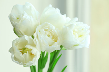 Beautiful white tulips, closeup