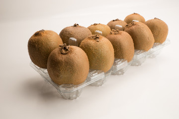 Kiwi, Actinidia deliciosa
