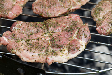 barbecue with delicious grilled meat on grill