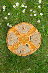 Fototapeta premium tart fruit handmade freshly baked