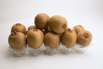 Kiwi, Actinidia deliciosa