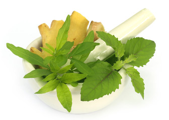 Medicinal herbs on mortar with pestle