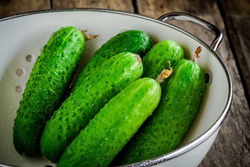 fresh organic cucumbers in white colander