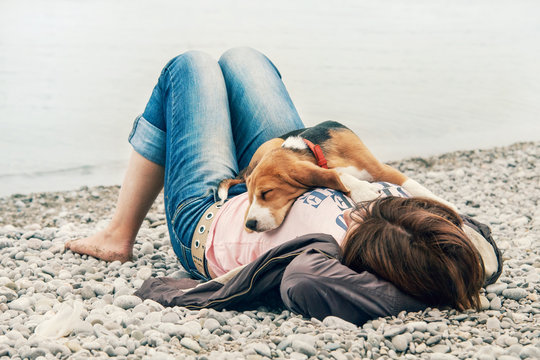 Beagle puppy sleeping on his owner breast at the sea side