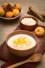 Bowl of oatmeal porridge with peach slices