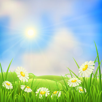 Meadow landscape with green grass, flowers, hills and sun