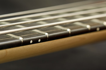 bass Guitar