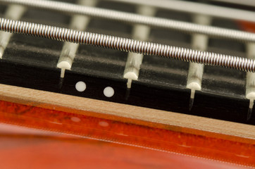 bass Guitar