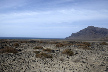 Monte Verde (Sao Vicente)