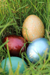 Colorful easter eggs hidden in dense grasses. Spring holidays co