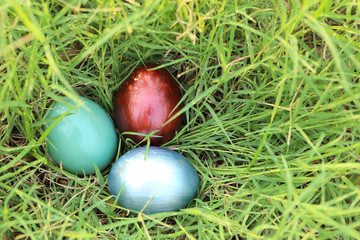 Colorful easter eggs hidden in dense grasses. Spring holidays co
