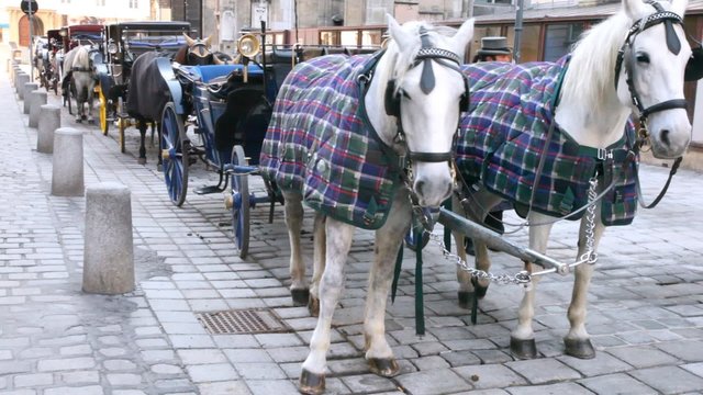 On street there is row of carriages with horses at day.