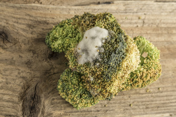 rotten broccoli