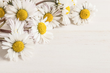 Obraz premium daisy flowers on wooden surface