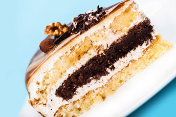 cake with a chocolate stratum