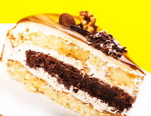 fresh piece of cake with a chocolate layer