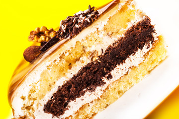 piece of cake with a chocolate layer