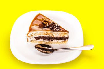 cake with a chocolate layer