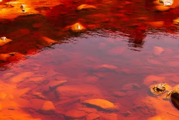 Plexiglas foto achterwand The Río Tinto (red river) is a river in southwestern Spain © Elena Pavlova