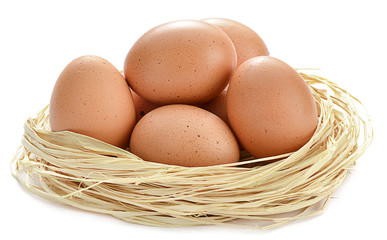 Eggs in a nest isolated on white background