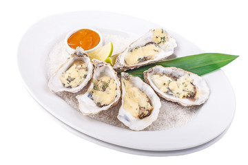 Oysters on white plate