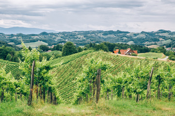 Fototapeta na wymiar Hills of Southern Styria