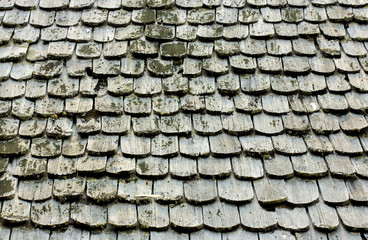Wooden roof texture