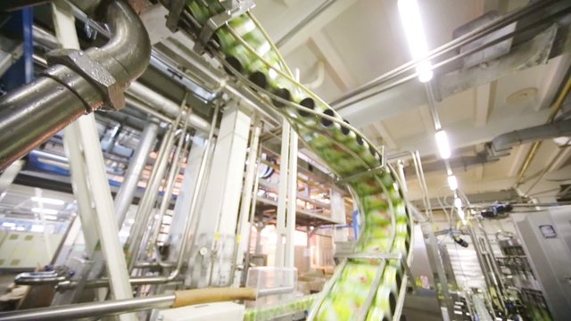 Green cans move fast on conveyor in Ochakovo factory