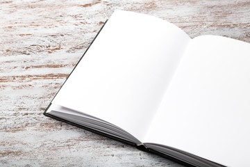 Spread. Open magazine with blank pages