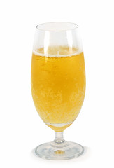 Glass of beer isolated on white background.