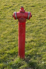 Fototapeta na wymiar Red water hydrant