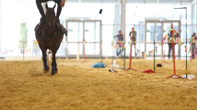Skilled horsemanjumps on back of horse at show 