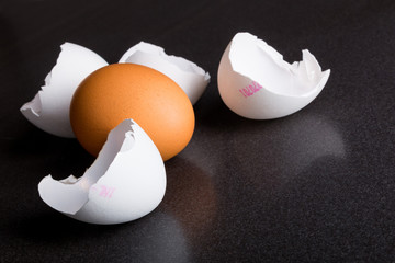 Weiße Eierschalen und braunes Ei