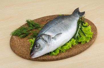 Raw seabass