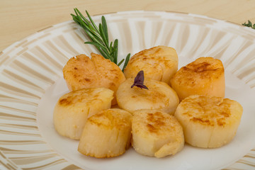 Grilled scallops