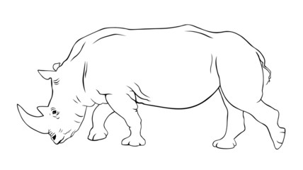 Rhinoceros