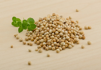 Coriander seeds