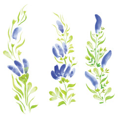 watercolor flowers in different styles