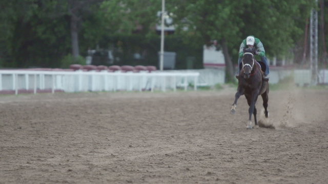 jockey and horse runs gallop, slow motion 240