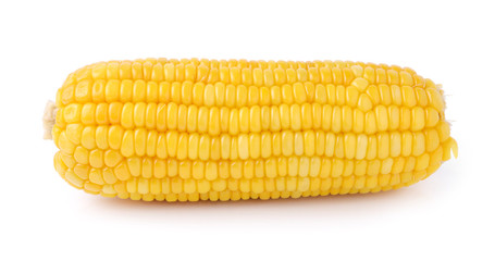 Corn isolated on a white background
