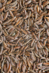close-up on cumin